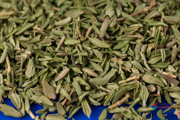 Thyme (Closeup)