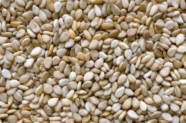 White Sesame Seeds
