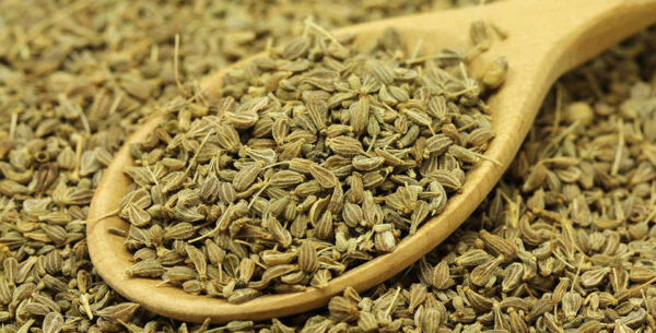 Aniseed